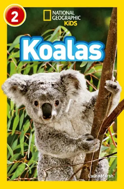 Koalas by Laura Marsh