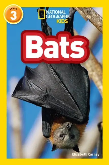 Bats by Elizabeth Carney