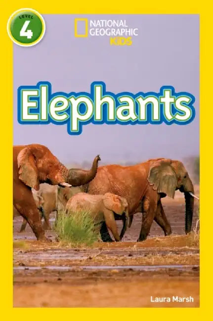 Elephants by Laura Marsh