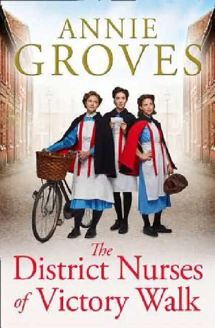 The District Nurse (the District Nurse, Book 1) by Annie Groves
