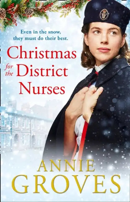 Christmas for the District Nurses (the District Nurse, Book 3) by Annie Groves