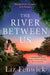 The River Between Us by Liz Fenwick