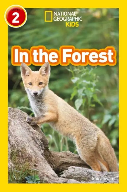 In the Forest by Shira Evans