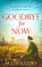 Goodbye for Now by M. J. Hollows