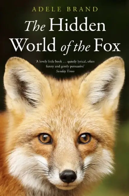 The Hidden World of the Fox by Adele Brand