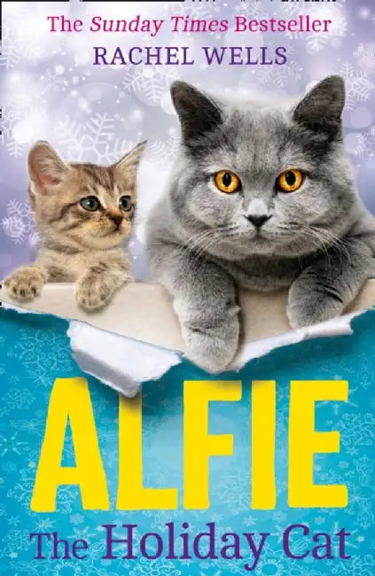 Alfie the Holiday Cat by Rachel Wells