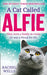 A Cat Called Alfie by Rachel Wells