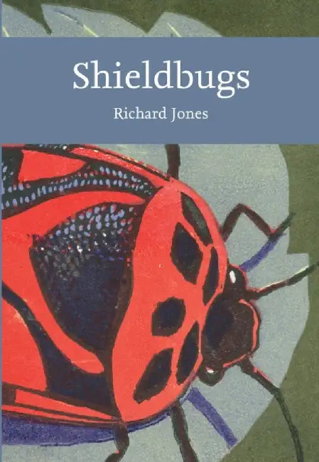 Shieldbugs by Richard Jones