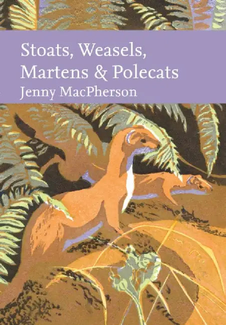 Stoats, Weasels, Martens and Polecats by Jenny MacPherson
