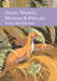 Stoats, Weasels, Martens and Polecats by Jenny MacPherson
