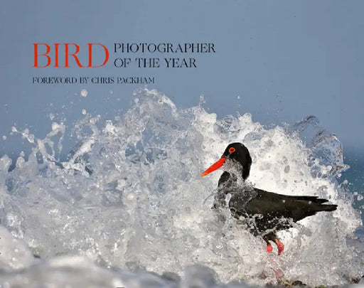 Bird Photographer of the Year: Collection 5 (Bird Photographer of the Year) by Bird Photographer of the Year