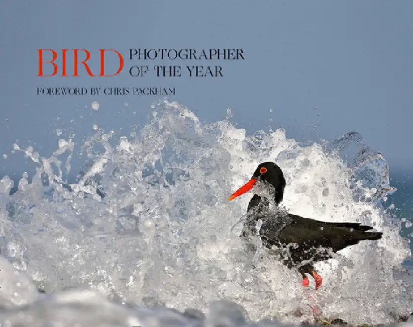 Bird Photographer of the Year: Collection 5 (Bird Photographer of the Year) by Bird Photographer of the Year