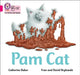 Collins Big Cat Phonics for Letters and Sounds - Pam Cat: Band 1b/Pink B by Catherine Baker