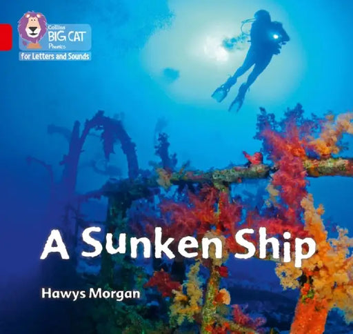 A Sunken Ship by Hawys Morgan