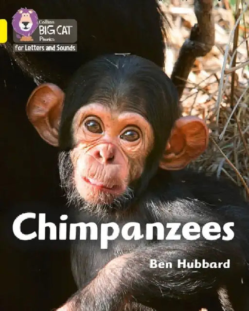 Chimpanzees by Ben Hubbard