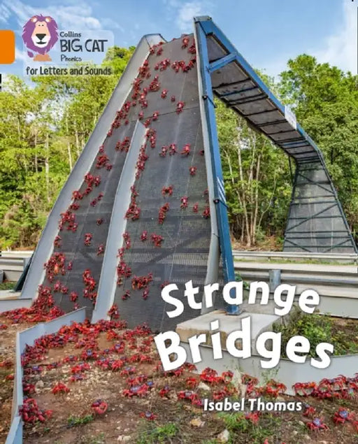 Strange Bridges by Isabel Thomas