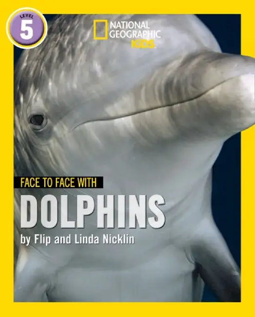 Face to Face with Dolphins by Flip Nicklin