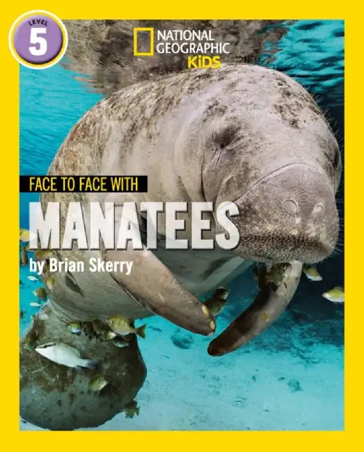 Face to Face with Manatees by Brian Skerry