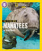 Face to Face with Manatees by Brian Skerry