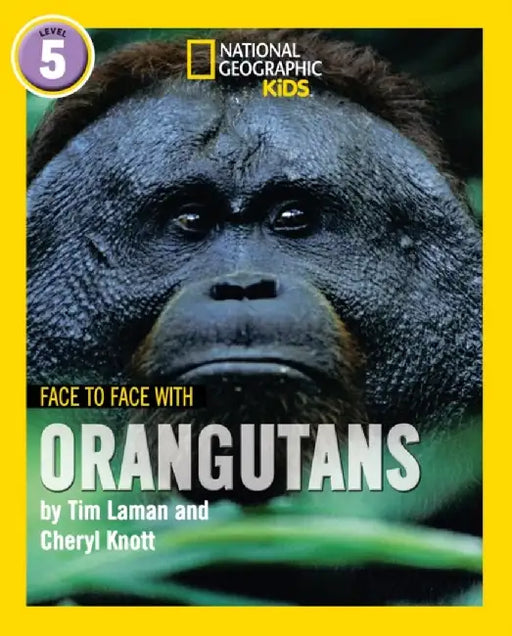 Face to Face with Orangutans by Tim Laman