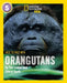 Face to Face with Orangutans by Tim Laman