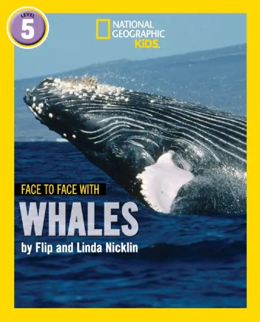 Face to Face with Whales by Flip Nicklin