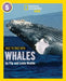Face to Face with Whales by Flip Nicklin