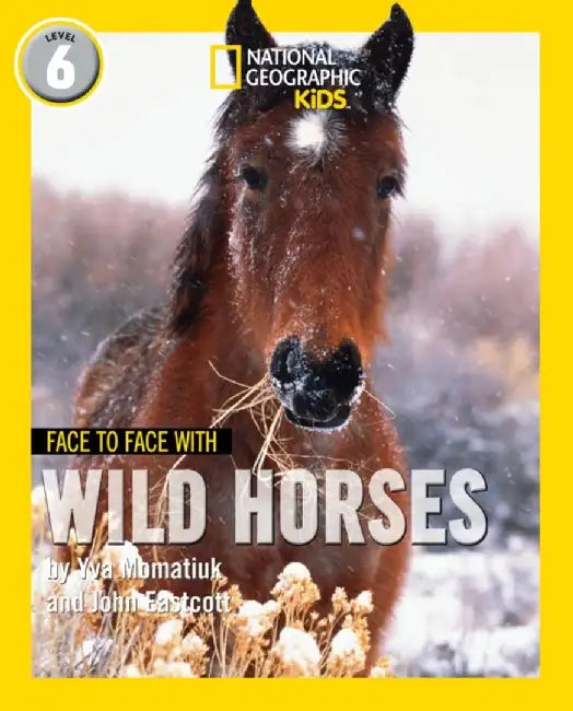 Face to Face with Wild Horses by Yva Momatiuk