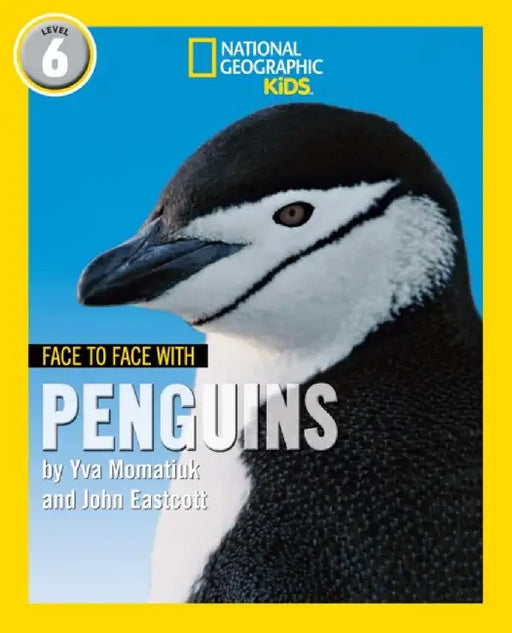 Face to Face with Penguins by Yva Momatiuk