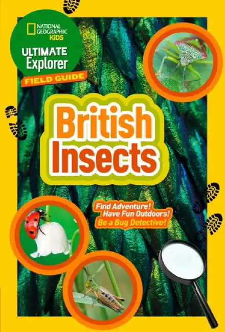 Ultimate Explorer Field Guides British Insects by National Geographic Kids