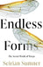 Endless Forms: The Secret World of Wasps by Seirian Sumner