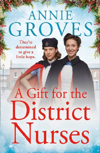 A Gift for the District Nurses (the District Nurses, Book 4) by Annie Groves