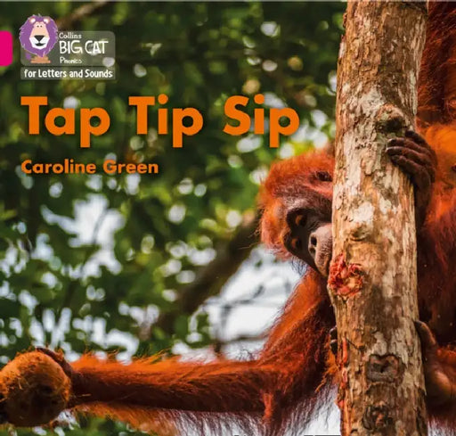 Tap Tip Sip: Band 01a/Pink a by Caroline Green, Collins Big Cat