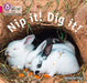 Nip It! Dig It!: Band 01b/Pink B by Natasha Natasha