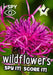 i-SPY Wildflowers by i-SPY