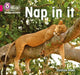 Nap in it by Caroline Green
