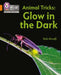 Animal Tricks: Glow in the Dark by Rob Alcraft