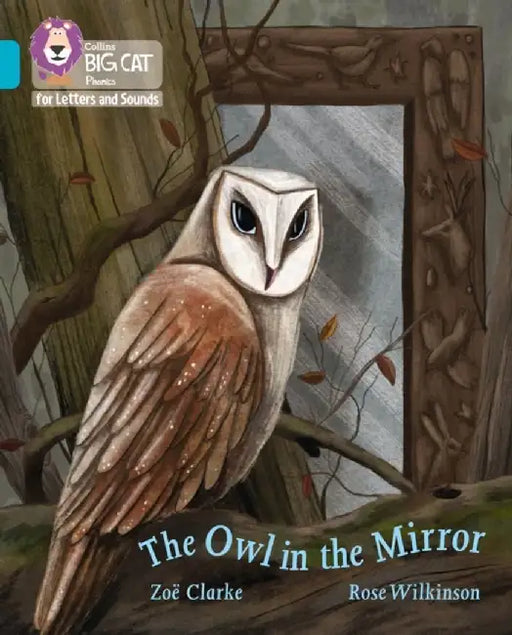 The Owl in the Mirror by Zoe Clarke