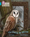 The Owl in the Mirror by Zoe Clarke