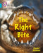 The Right Bite: Band 07/Turquoise by Rachel Delahaye