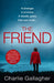 The Friend by Charlie Gallagher