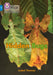 Hidden Bugs by Isabel Thomas
