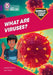 Shinoy and the Chaos Crew: What are viruses? by Isabel Thomas
