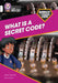 Shinoy and the Chaos Crew: What is a secret code? by Stevie Derrick
