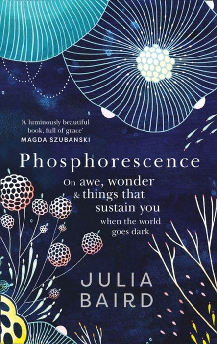Phosphorescence by Julia Baird