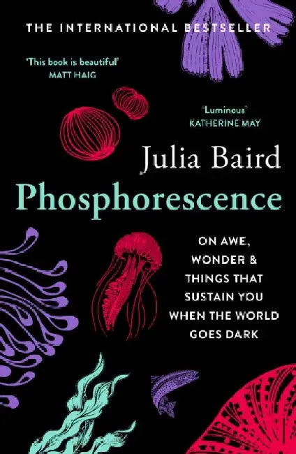 Phosphorescence: On Awe, Wonder & Things That Sustain You When the World Goes Dark by Julia Baird