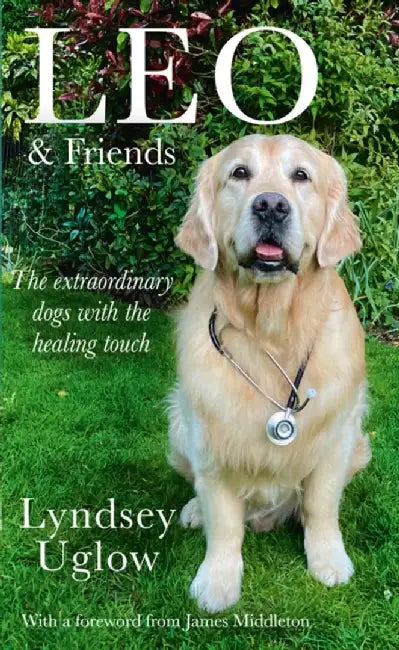 Leo & Friends by Lyndsey Uglow