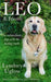 Leo & Friends by Lyndsey Uglow