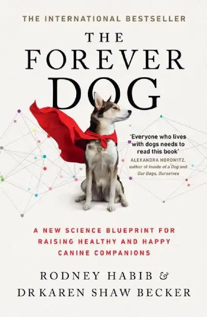 The Forever Dog by Rodney Habib