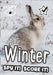 i-SPY Winter by i-SPY